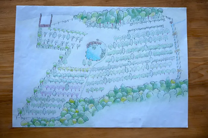 Orchard sketch